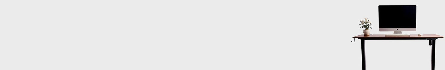 Electric Standing Desk - Sinfinate